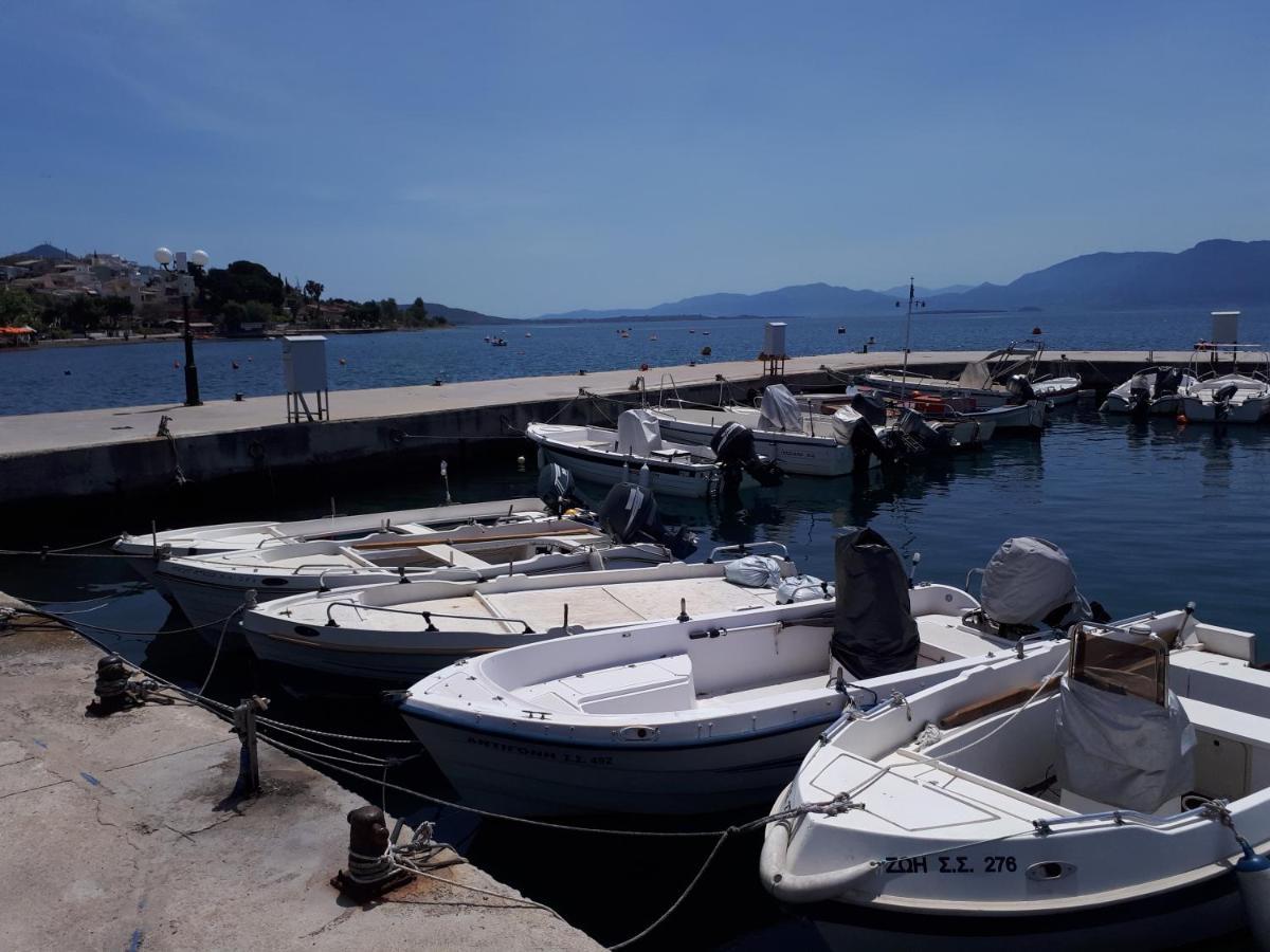 Ξενοδοχείο Σκάλα Ξενοδοχείο Παραλία Ραχών Εξωτερικό φωτογραφία