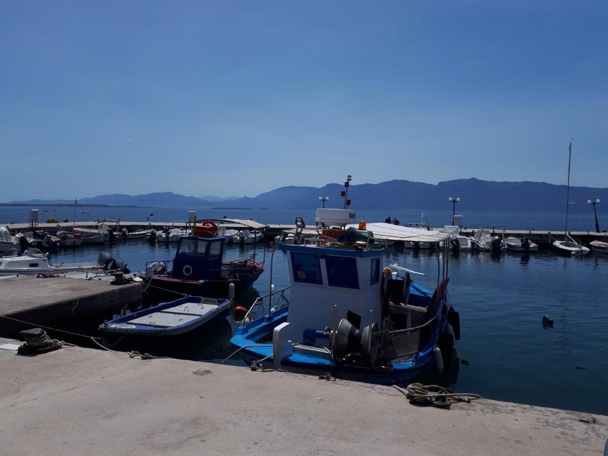 Ξενοδοχείο Σκάλα Ξενοδοχείο Παραλία Ραχών Εξωτερικό φωτογραφία